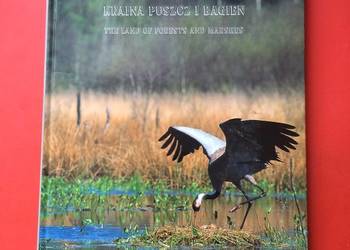 ( 1086 ) Kraina Puszcz i Bagien