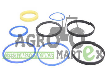 991/00158, 991/00158P ZESTAW NAPRAWCZY SIŁOWNIKA 60x120 JCB