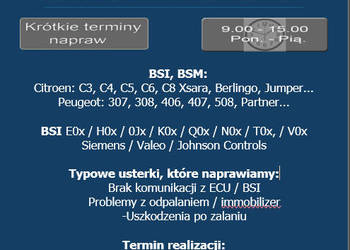 Naprawa modułów BSI, BSM