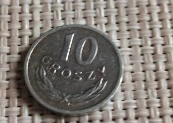 Sprzedam 10 gr 1981 r