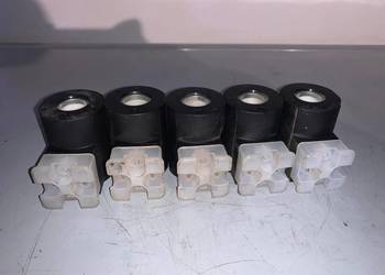 Rexroth R901080794 solenoid valve coil 24VDC