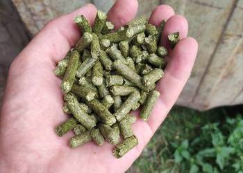 Lucerna granulowana / Susz z lucerny / 8mm / Dostawa w cenie