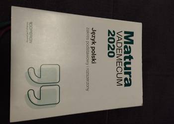 Matura VADEMECUM 2020 - repetytorium język polski