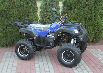 Quad 250 cc 4t Hammer Shinerau Bashan ,benzyna KXD