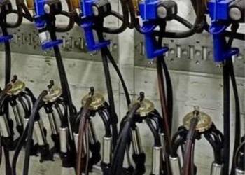 Aparat udojowy duovac kolektor Mc31 oryginał Delaval