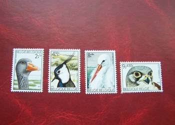 Belgia 1972 MNH Mi. 1706/09 Fauna Ptaki  a