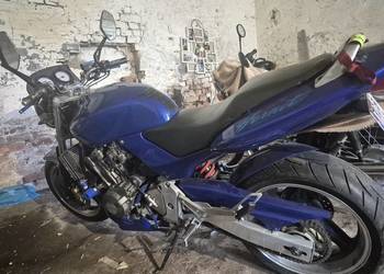 Honda hornet