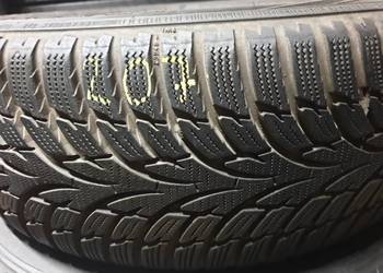Opona Nokian WRD 3 185/55R15