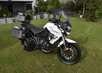 Triumph 800 xrt rama dokumenty