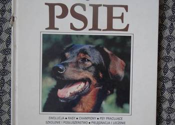 Wszystko o psie Angela Sayer