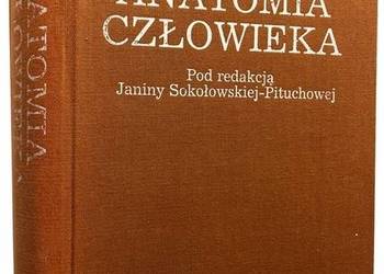 Anatomia człowieka - Sokołowska-Pituchowa J.