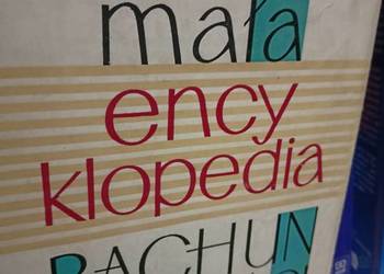 Mała encyklopedia rachunkowości używane podręczniki szkolne Mała encyklopedia rachunkowości używane podręczniki szkolne