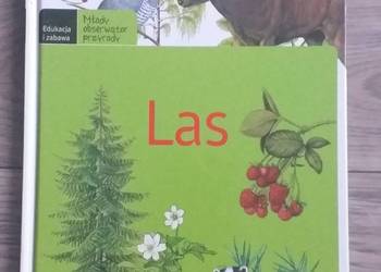 Młody obserwator przyrody - Las