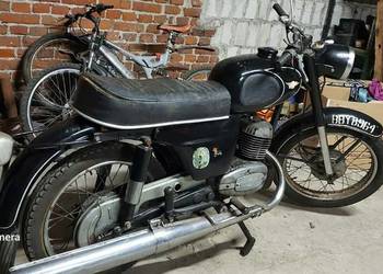 Wsk 175 m21 w2  nie dudek sport bąk lelek