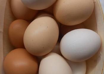 Jaja wiejskie sprzedam Jaja wiejskie sprzedam