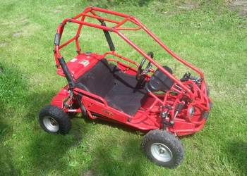 buggy hamerhead/zumico 50 2T