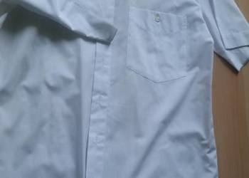 40, 176-182, L-XL,exclusive, koszula męska z kołnierzykiem,