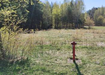 Atrakcyjna działka budowlana w Andrzejówce, 4200m2 , z warunkami zabudowy