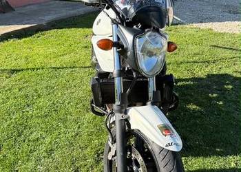 Suzuki Bandit GSF 650N | 2014 r. | Szyba, Kufer SHAD, Gmole | Zadbane NAKED