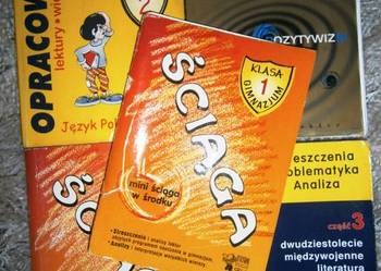 opracowania język polski gimnazjum- liceum, ściąga