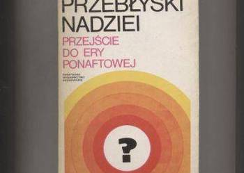 Hayes D. - Przebłyski nadziei  Przejście do ery ponaftowej