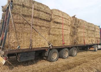 siano w duża kostka suche z tego roku transport