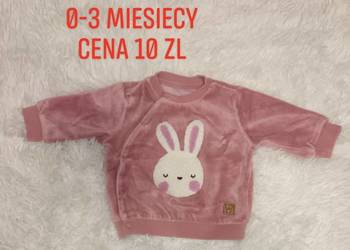 Bluza Smyk