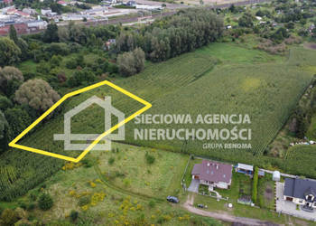 Grunt Pszczółki 3342m2