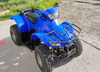 Quad Eton 100 2 t