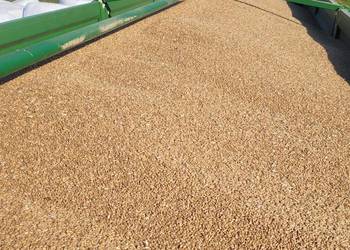 Przyczepa rolnicza 18t