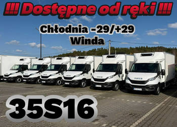 Iveco Daily 35S16 V WINDA CHŁODNIA -29/+29 8-Palet Dostępny Od Ręki Sprint…