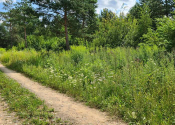 Działka na sprzedaż 11000m2 Choroszcz