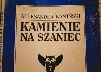 Kamienie na szaniec wyjątkowe analizy lektury szkolne księga