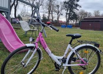 Rower dziecięcy Climber 24"