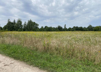 Działka inwestycyjna pod usługi 1,8 km od centrum Kazimierza Dolnego