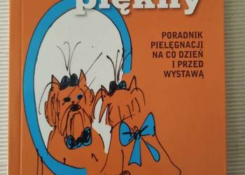 Mój pies jest piękny