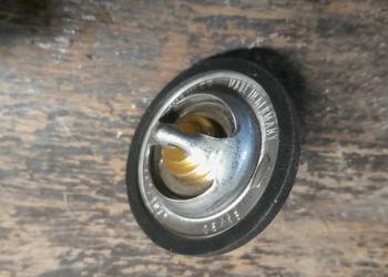 Zapytanie zostało przetworzone  Termostat układu chłodzenia Wahler 3017