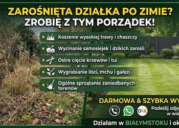 Wiosenne porządki, karczowanie, sprzątanie działek - Białystok i okolice