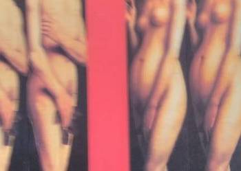 Życie seksualne księży 2003 Życie seksualne księży 2003