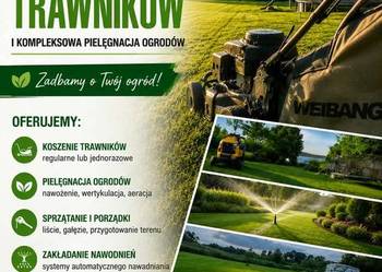 Usługi koszenia trawników