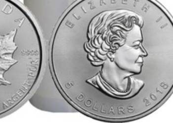 Srebrna moneta liść klonu pakowane w tubach