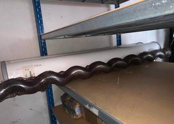 PCM MOINEAU 2x stator + 1x rotor 40/4P/E12 HY