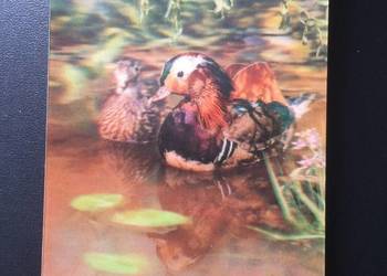 ( 277. ) Pocztówki Trójwymiarowe 2 ( 277. ) Pocztówki Trójwymiarowe 2