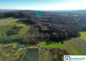 Ogłoszenie grunt Podniebyle 6100m2