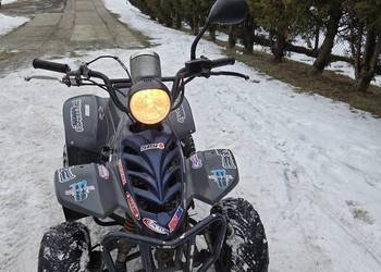 Quad 50 czterosów mocny / WYSYŁKA