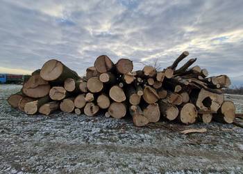 Drewno kominkowe opałowe rąbane liściaste