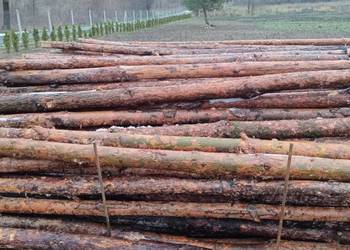 Stemple budowlane drewniane