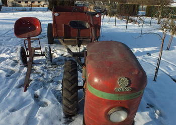 Dzik 2/21 Sprawny + Osprzęt + Kurier ŚLĄSK