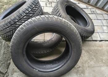 Opony zimowe Dębica Frigo 195/65 R15