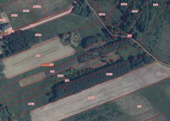 Działka, Bukowiec 5911 m2 - Inwestycja, możliwość zakupu 1,2 ha